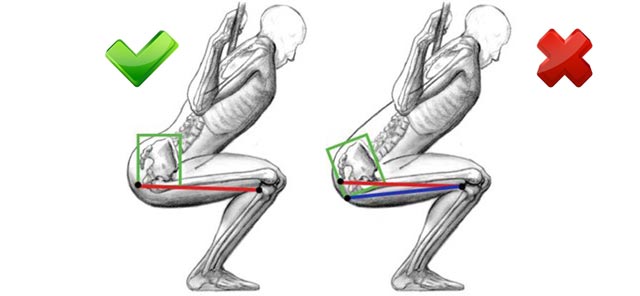 Correct Squats Technique How To Squat Blog About Healthy Eating And